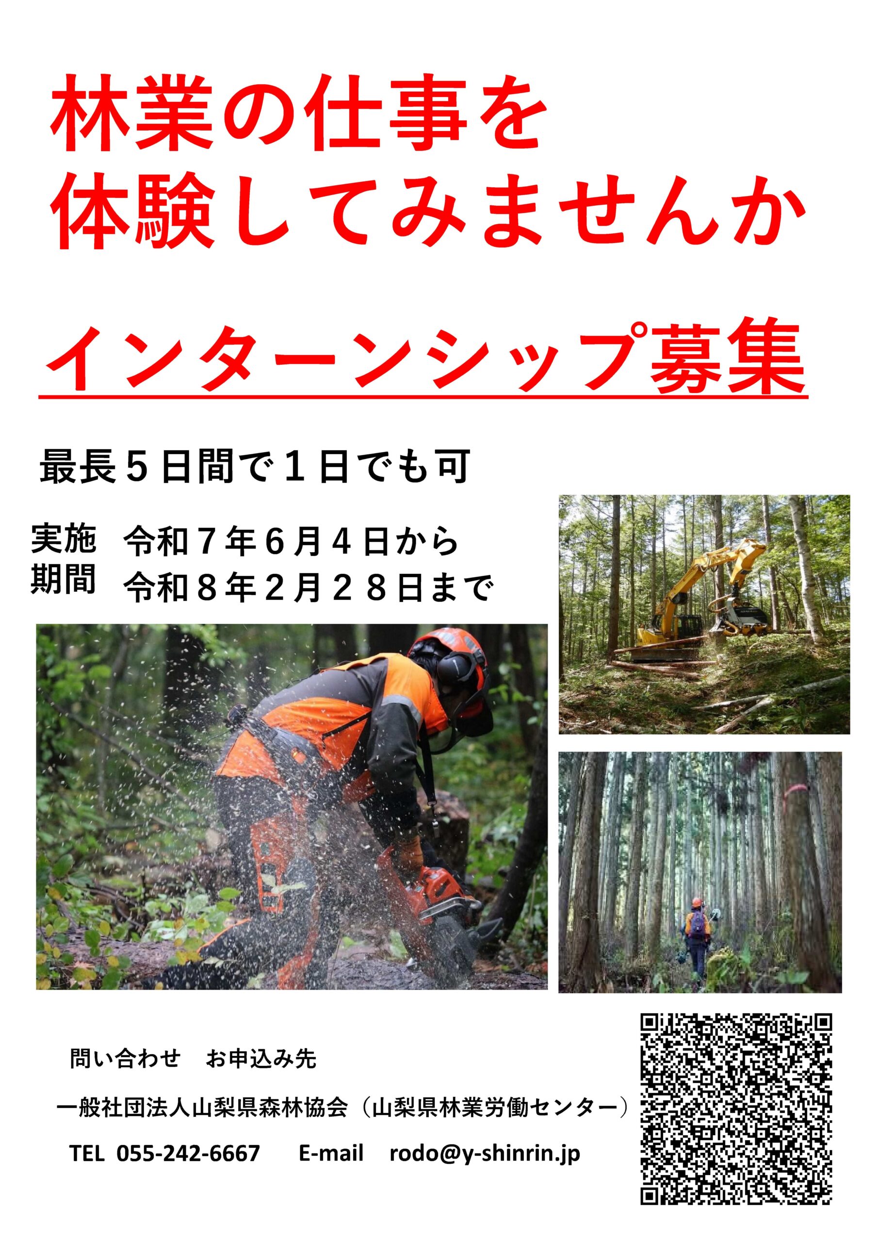 チラシ