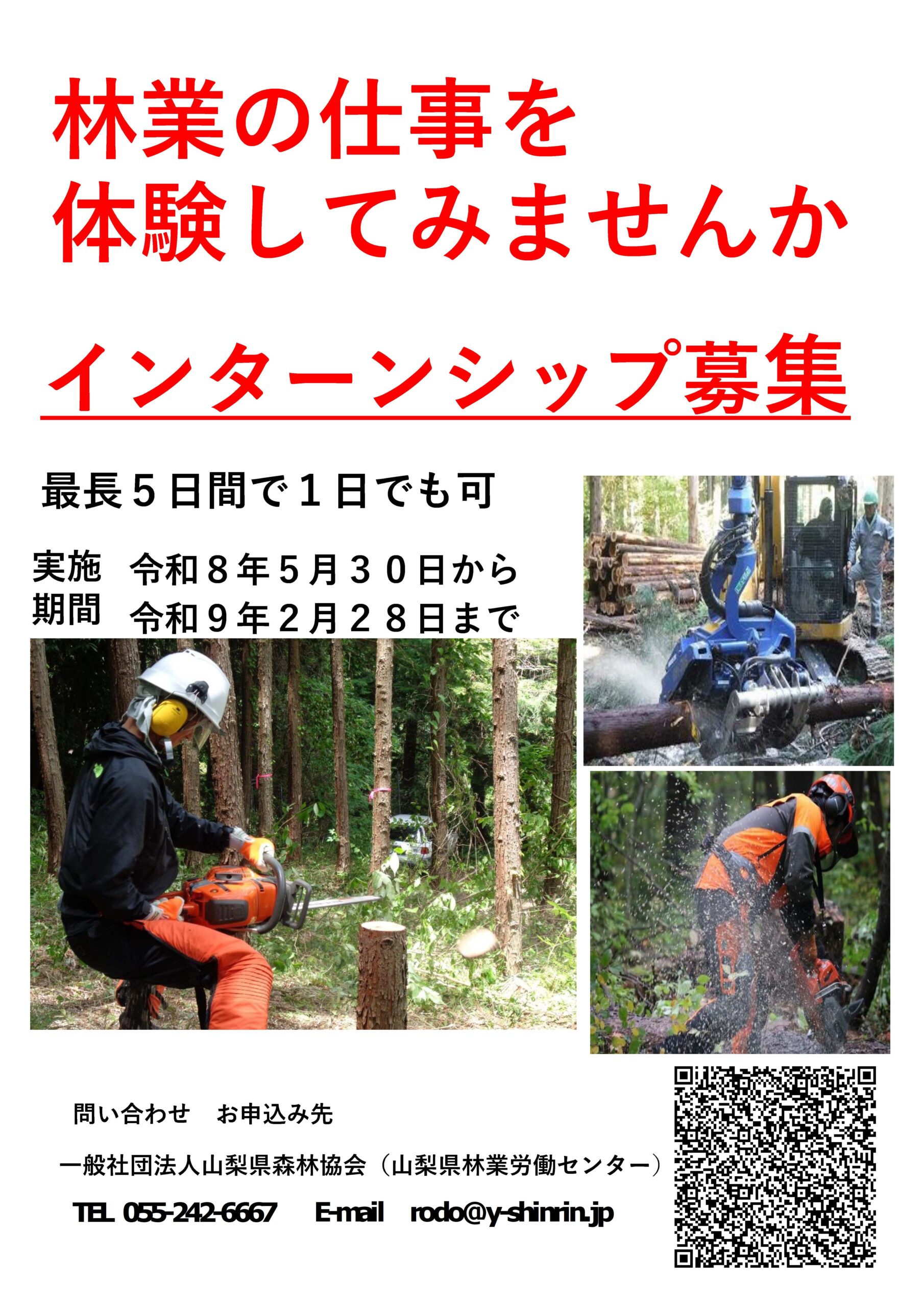 チラシ