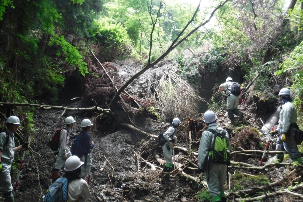 第47回 治山林道・森林林業 写真コンクールの作品募集 – 一般社団法人 山梨県森林協会